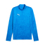 teamCUP Training 1/4 Zip Top electroroyalpumasilverpumateamroyal