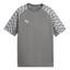teamLIGA26 Jersey Jr flatmediumgraypumawhiteflatlightgray