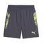 individualCUP Shorts galacticgray