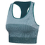 hmlYOGA SEAMLESS W CROP TOP stargazer