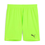 teamGOAL Shorts greenglarepumablack