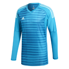 ADIPRO 18 GK JERSEY LONG SLEEVE-583957