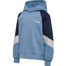 hmlJR LOOSE BLOCKED HOODIE-2450989