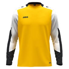 Longsleeve Dynamic-2404538