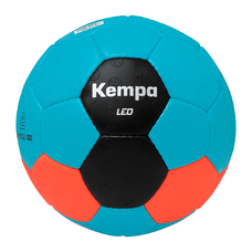 Leo-2471035