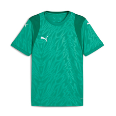 teamCUP Jersey-2376168