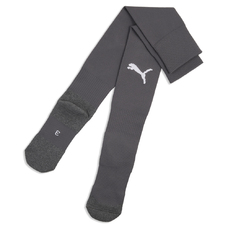 teamLIGA26 Socks Core-2444460