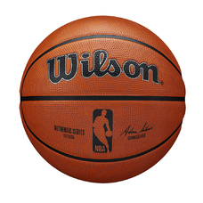 NBA AUTHENTIC SERIES OUTDOOR BSKT-2102152